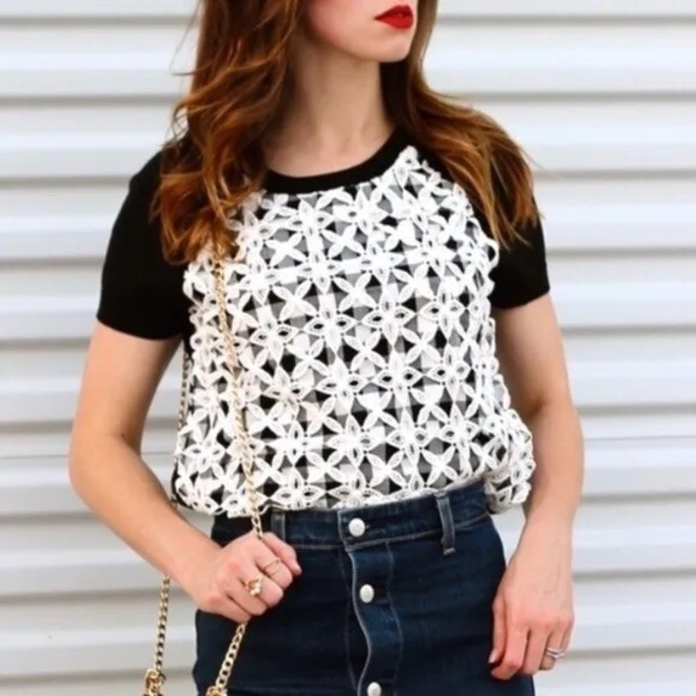 Anthropologie Moth Facade Lace Gingham Short Sleeve Sweater Top